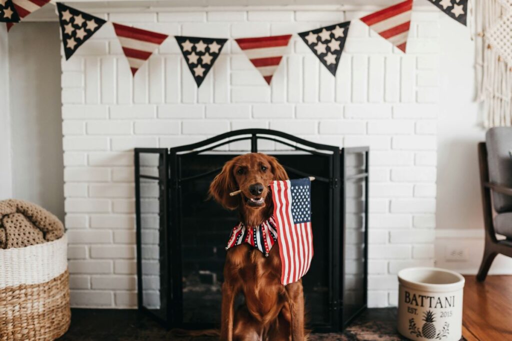 firework safety for pets