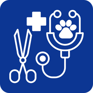 Vet surgery icon